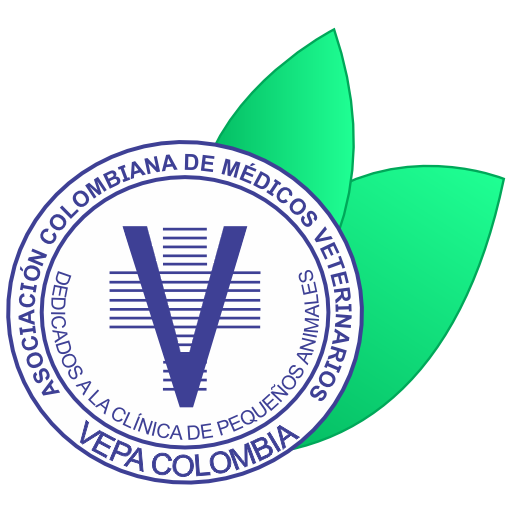 Congreso Internacional