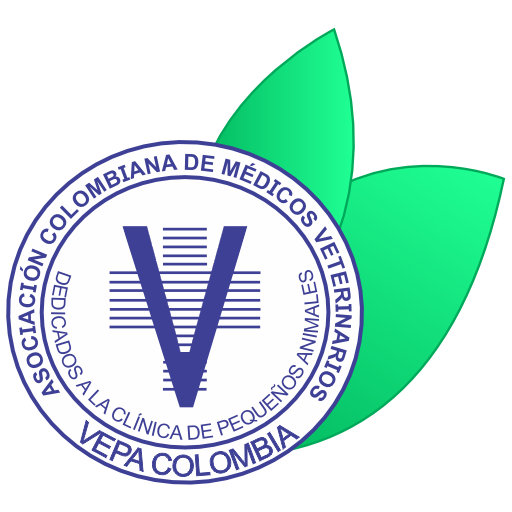 Congreso Internacional